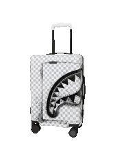 STORM FADE CARRY-ON LUGGAGE