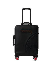 CHECKPOINT ROYALE CARRY-ON LUGGAGE