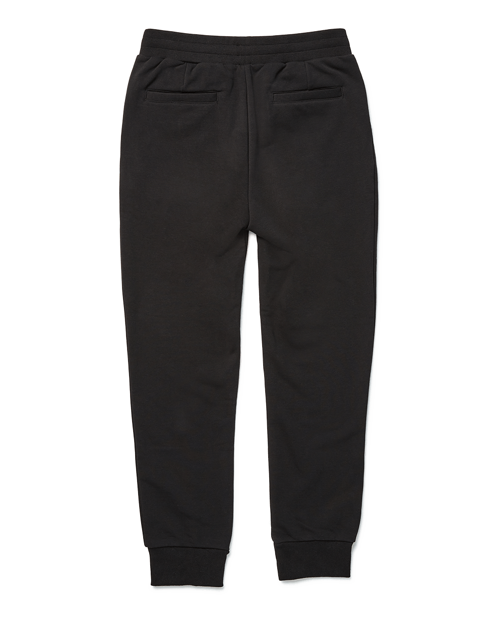 SHARK BITE JOGGER