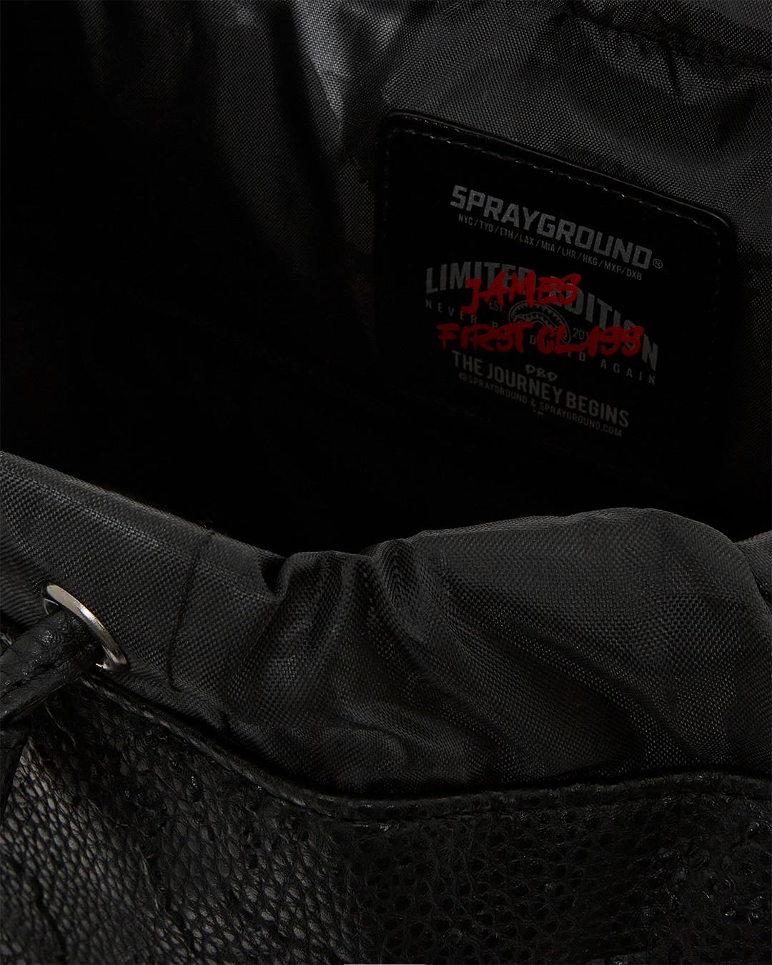 JAMES FIRST CLASS TYCOON TRAVELER MONTE CARLO BACKPACK