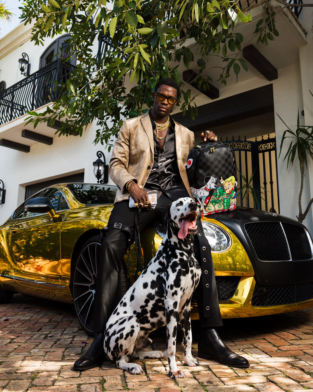 RICHIE RICH PAINT THE SHARK GOLD BACKPACK