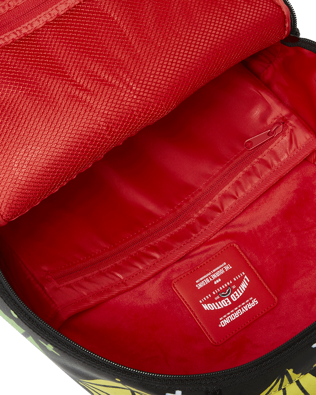 SKY FULL OF DREAMS DLXV BACKPACK